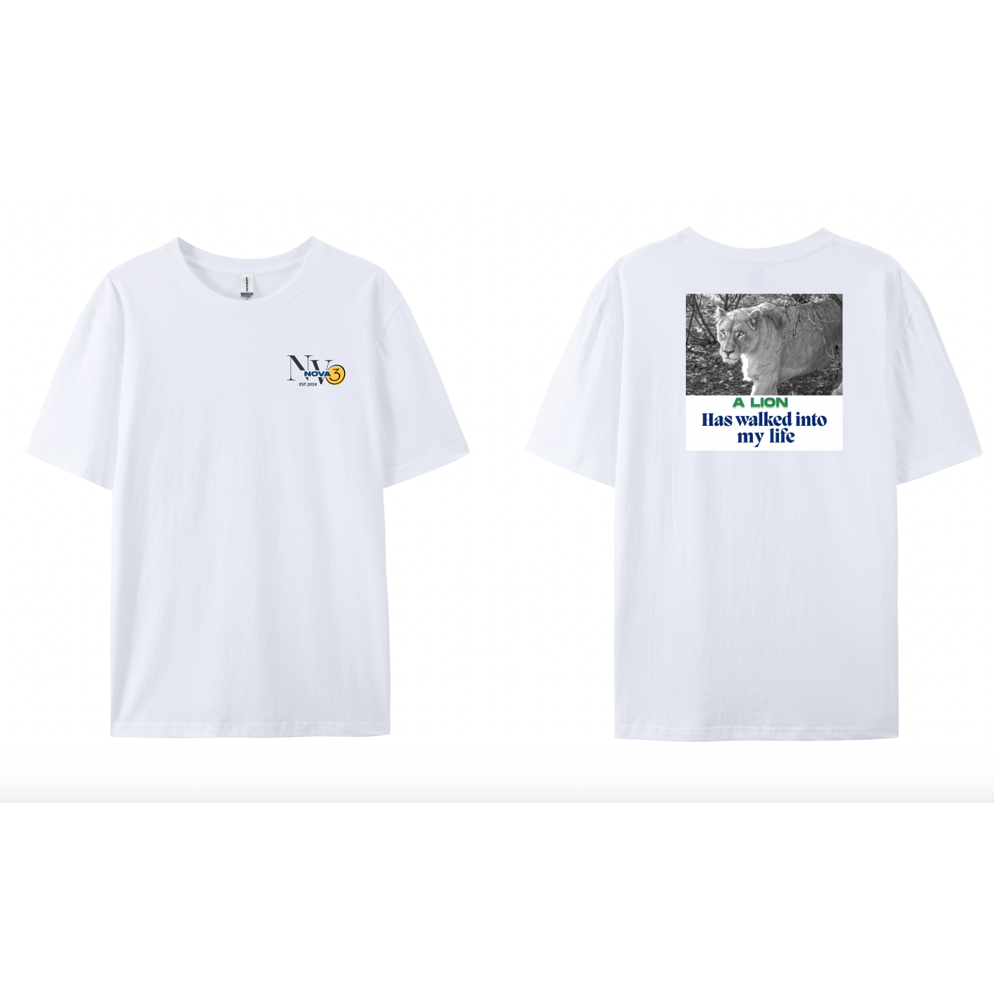 Adults T-Shirt - 'A Priest Has Walked Into Your Life" - E4